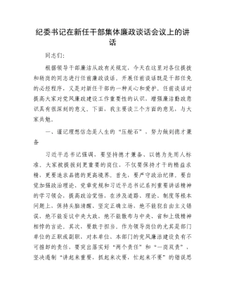 纪委书记在新任干部集体廉政谈话会议上的讲话.docx