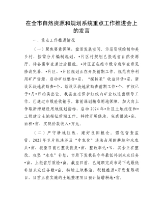 在全市自然资源和规划系统重点工作推进会上的发言.docx