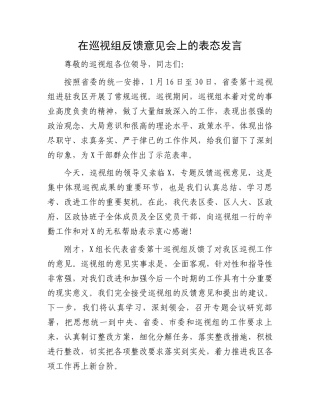 在巡视组反馈意见会上的表态发言.docx