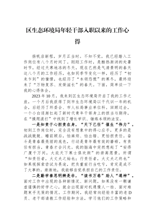 区生态环境局年轻干部入职以来的工作心得.docx