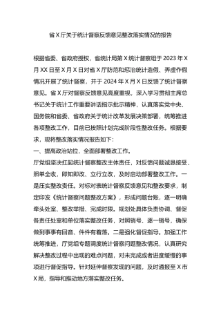 省X厅关于统计督察反馈意见整改落实情况的报告.docx
