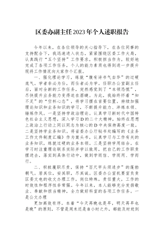 区委办副主任2023年个人述职报告.docx