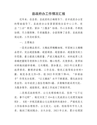县政府办工作情况汇报.docx