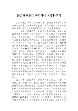 县委办副主任2023年个人述职报告.docx