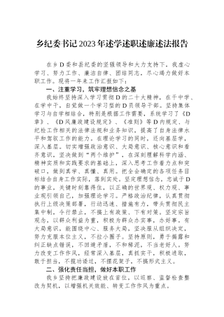 乡纪委书记2023年述学述职述廉述法报告.docx