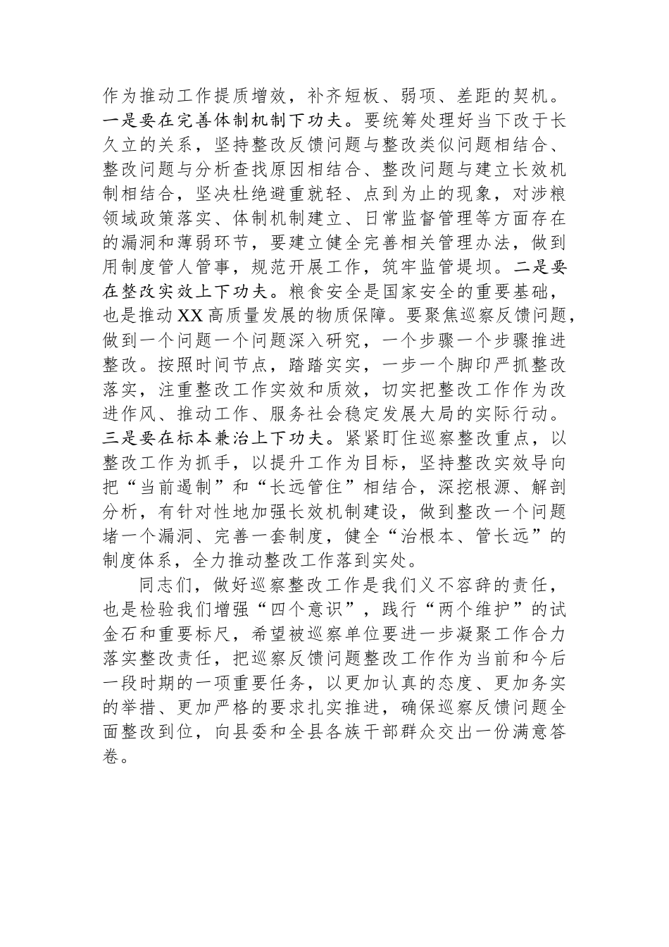 巡察整改工作会议上的讲话.docx_第3页