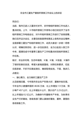 在全市三夏生产暨秸秆禁烧工作会议上的讲话.docx