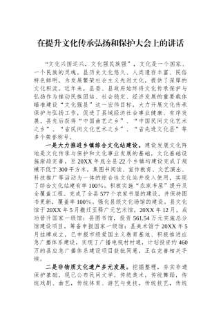在提升文化传承弘扬和保护大会上的讲话.docx