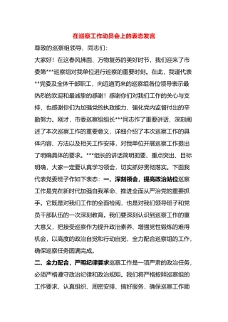 在巡察工作动员会上的表态发言.docx