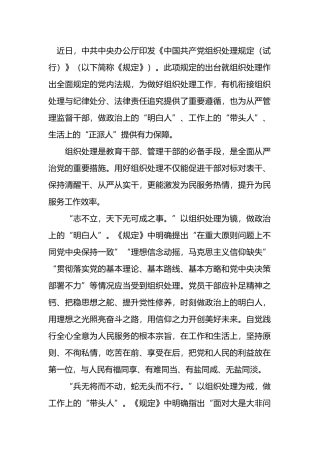 照“组织处理”之镜 明忠诚担当之责.docx