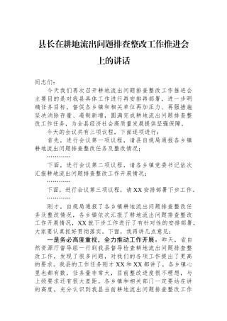 县长在耕地流出问题排查整改工作推进会上的讲话.docx