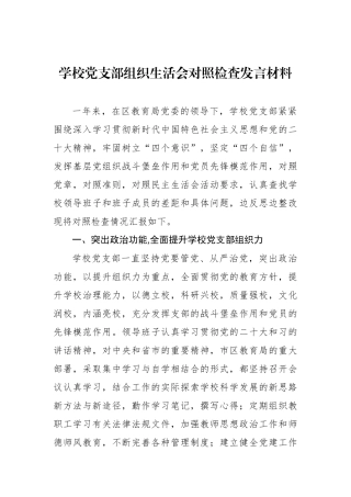 学校党支部班子对照检查材料.docx