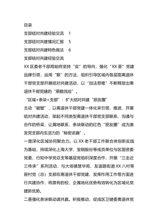 支部结对共建经验交流（3篇）.docx