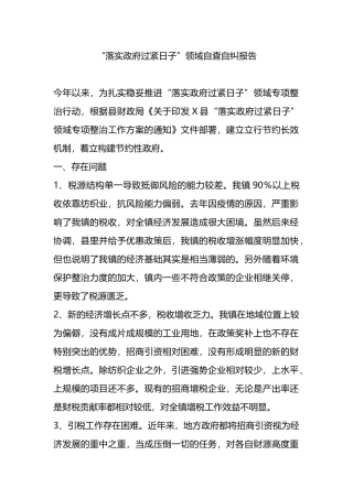 “落实政府过紧日子”领域自查自纠报告.docx