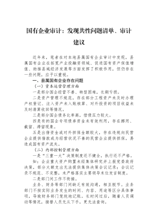 国有企业审计：发现共性问题清单、审计建议.docx