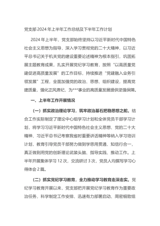 党支部2024年上半年工作总结及下半年工作计划.docx