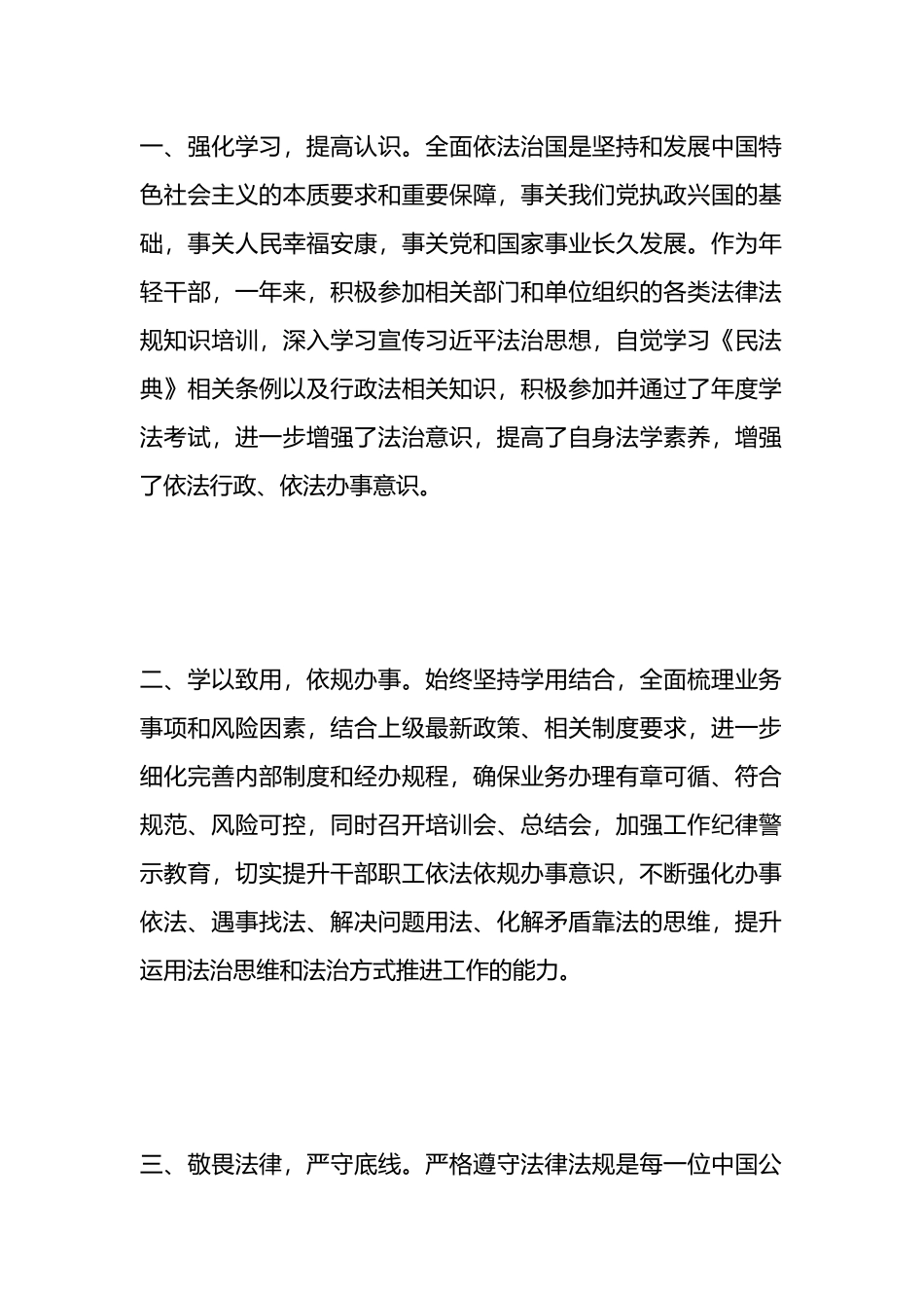 2024年干部年度述法个人总结.docx_第1页