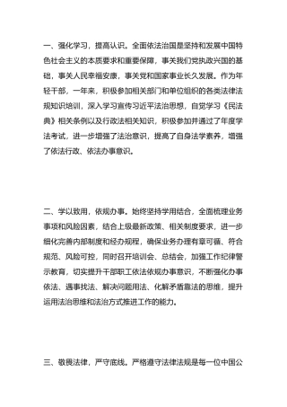 2024年干部年度述法个人总结.docx