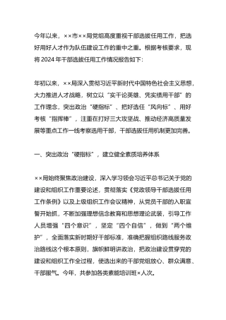 2024年干部选拔任用工作情况报告.docx