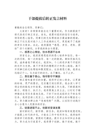 干部提拔后转正发言材料.docx