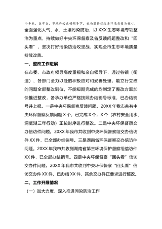XX市环境保护工作情况汇报.docx