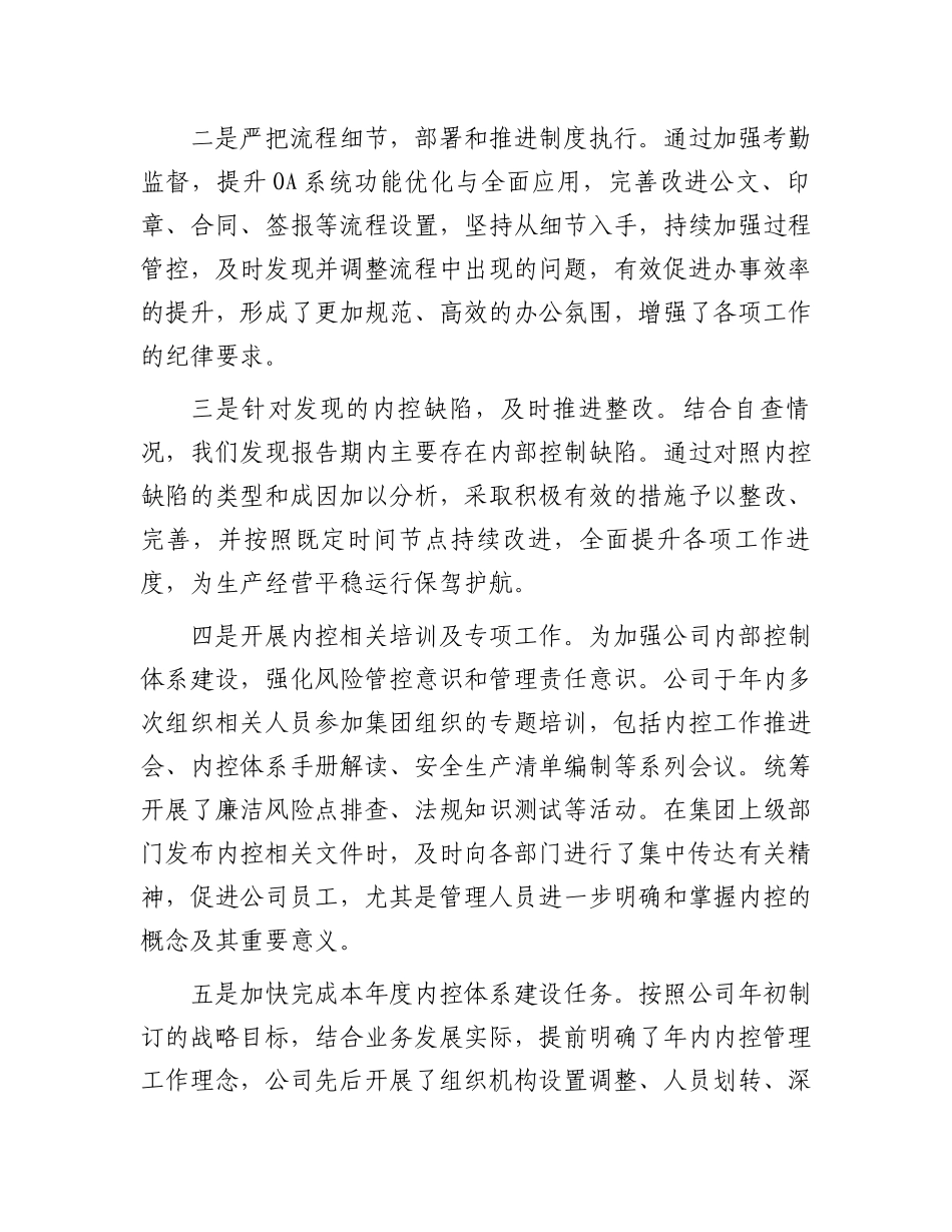 公司年度内部控制体系建设自评报告.docx_第2页