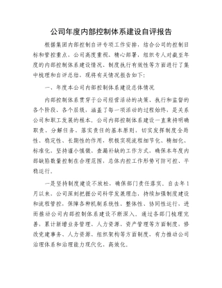 公司年度内部控制体系建设自评报告.docx