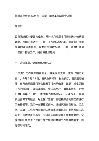 某街道办事处2024年“三夏”禁烧工作动员会讲话.docx