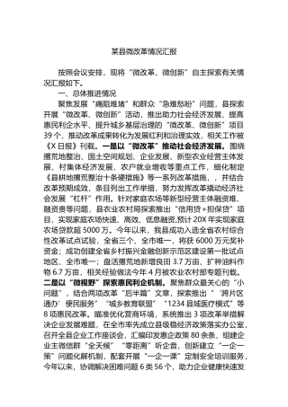 某县微改革情况汇报.docx