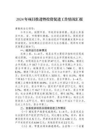 2024年项目推进暨投资促进工作情况汇报.docx