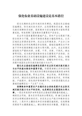 强化农业基础设施建设是基本路径.docx