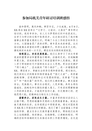 参加局机关青年研讨培训班感悟.docx