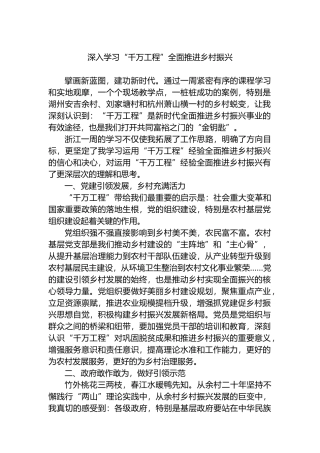 深入学习“千万工程”全面推进乡村振兴.docx