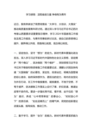 学习感悟：汲取奋进力量 争做有为青年.docx