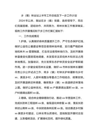 乡（镇）林业站上半年工作总结及下一步工作计划.docx