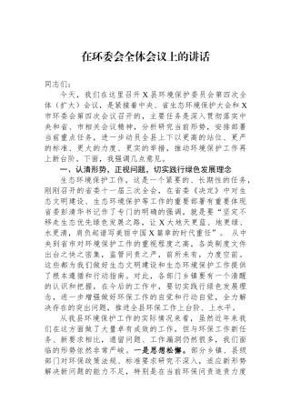 在环委会全体会议上的讲话.docx