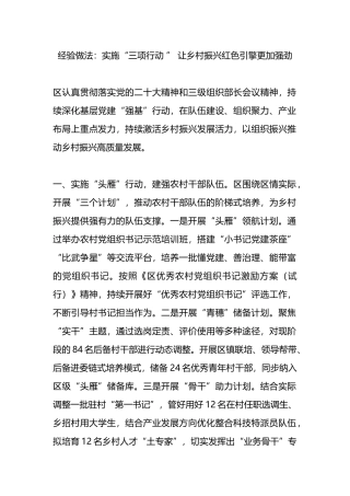 经验做法：实施“三项行动 ” 让乡村振兴红色引擎更加强劲.docx