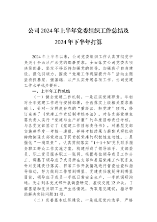 公司2024年上半年党委组织工作总结及2024年下半年打算.docx