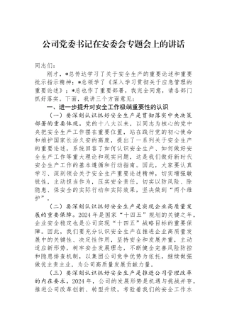 公司党委书记在安委会专题会上的讲话.docx
