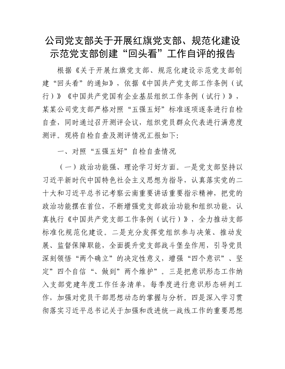 公司党支部关于开展红旗党支部、规范化建设示范党支部创建“回头看”工作自评的报告.docx_第1页