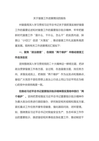 关于督查工作进展情况的报告总结.docx