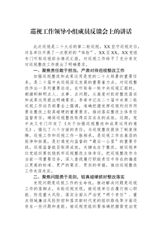巡视工作领导小组成员反馈会上的讲话.docx