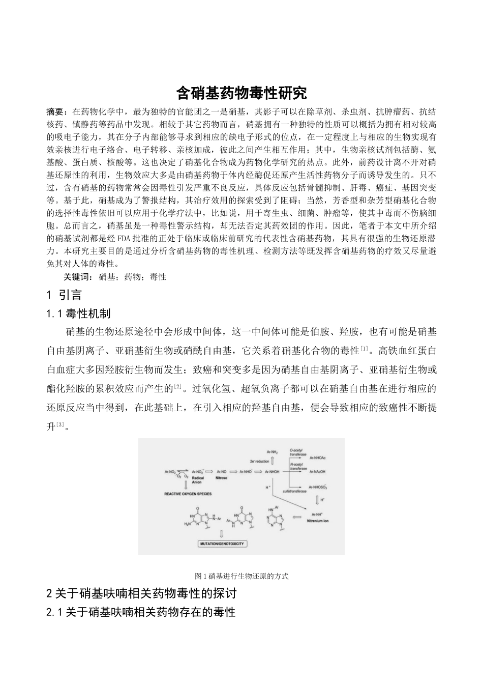 含硝基药物毒性研究分析  化学工程专业_第2页