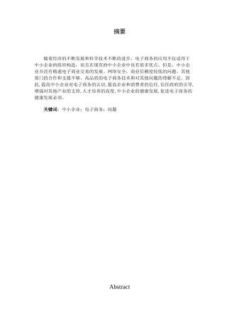 浅谈中小企业的电子商务发展问题分析研究  经济学专业