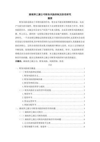 湖南津之源公司财务风险控制及防范研究分析  会计学专业