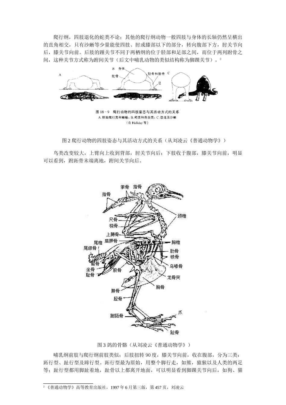 动物附肢关节结构的分析和进化过程推演及其进化必然性的论证分析研究  兽医学专业_第2页