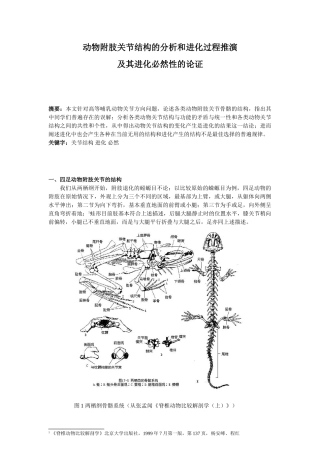 动物附肢关节结构的分析和进化过程推演及其进化必然性的论证分析研究  兽医学专业