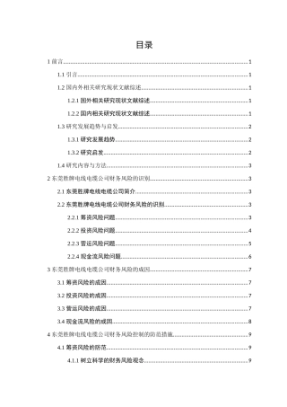 东莞胜牌电线电缆公司财务风险控制研究分析  财务管理专业