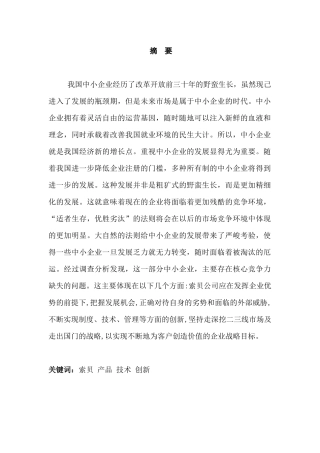 索贝公司的核心竞争力分析研究  工商管理专业