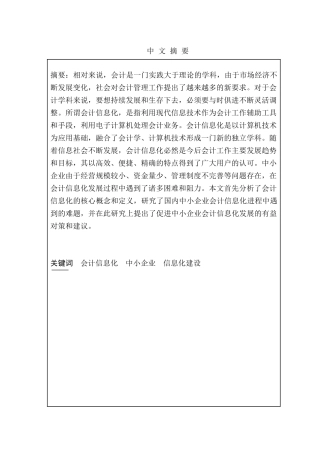 我国中小企业会计信息化问题研究分析  财务管理专业